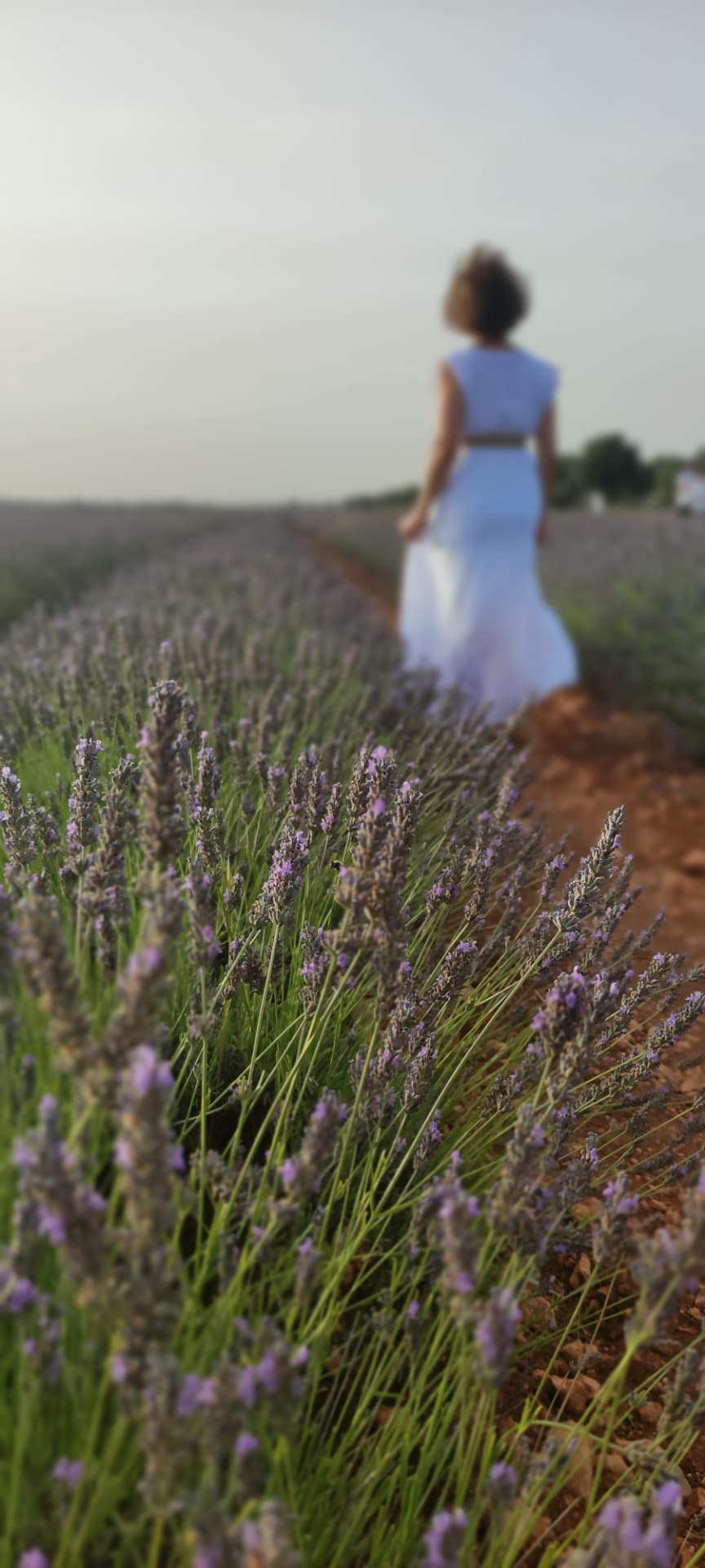 Karla Cruz, fundadora de KCM Modas, con vestido blanco en un campo de lavanda